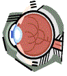 Click to test your knowledge of eye structure
