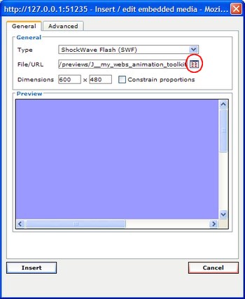 setting the size of the flash movie