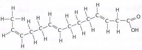 notice the kinks caused by double bonds