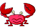 this is a crab!