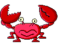 this is a crab!