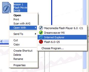 open with internet explorer